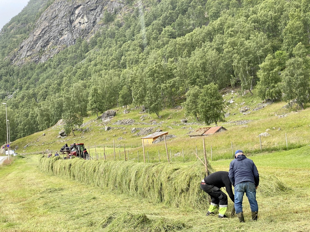 Making hay